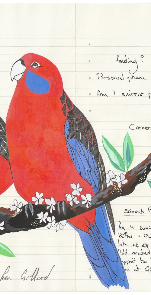 Birds of Oceania: Crimson Rosella by Fran Giffard