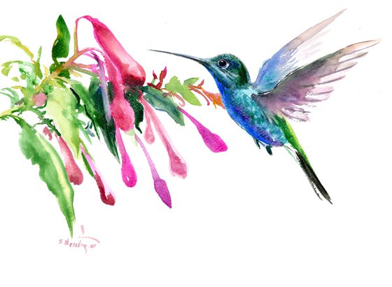 HUmmingbird and Flowers