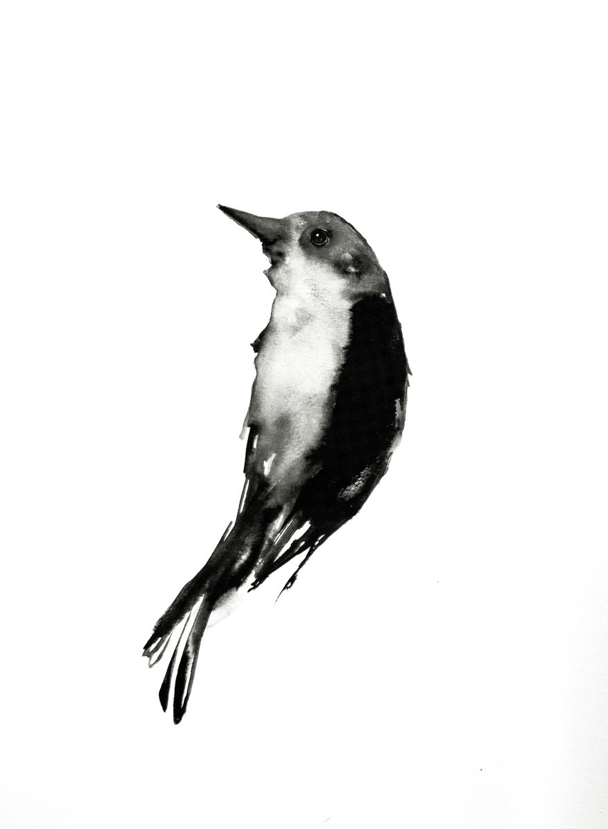 Bird by Nadia Moniatis