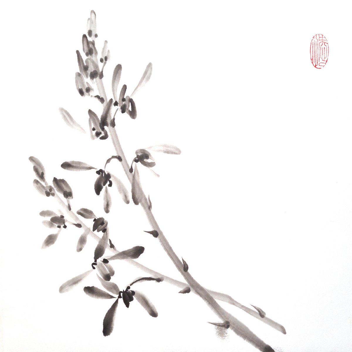 Black & white orchid - Oriental Chinese Ink Painting by Ilana Shechter
