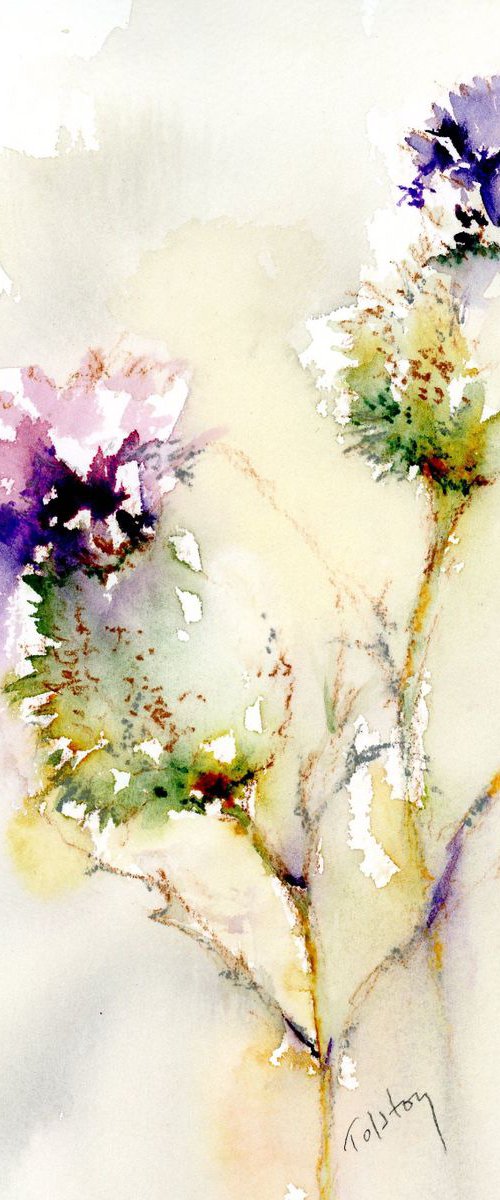 Scottish Thistle by Alex Tolstoy