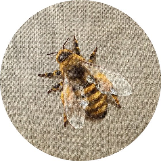 “Impermanent life”, work #16 Honey bee