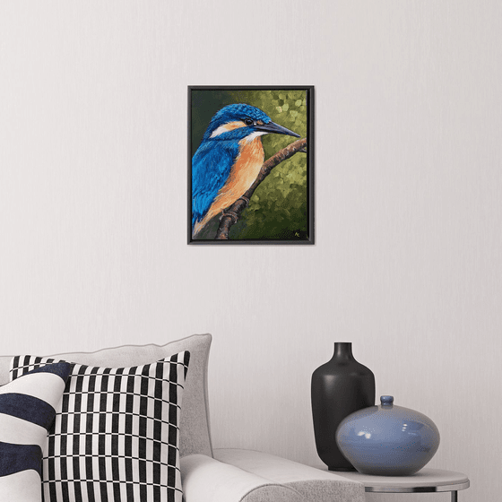 Kingfisher Kyle