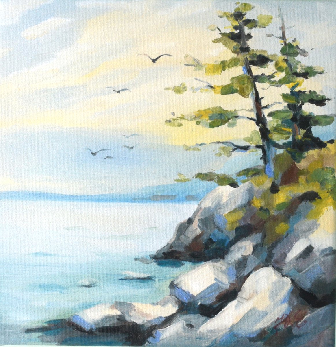 Pine trees on a rocky shore by Yulia Evsyukova