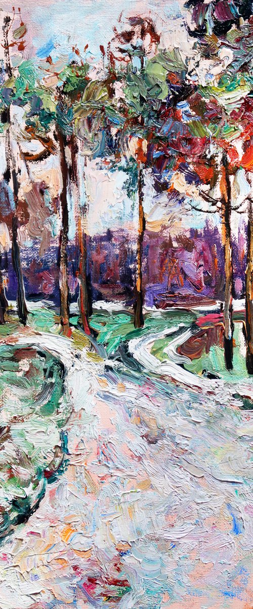 Snowy path and pine trees. by Nikifor Swiristuhin