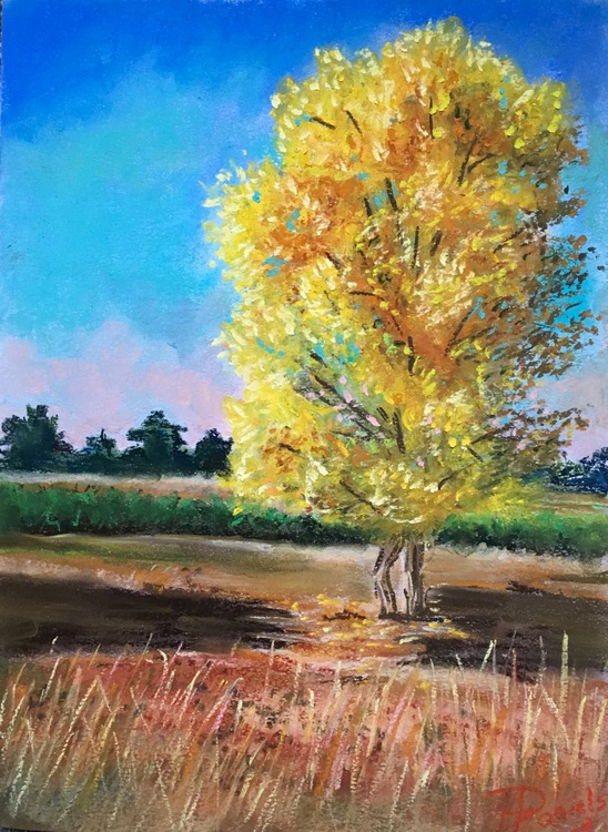 Yellow Autumn Pastel Drawing By Agnes Daniels Artfinder