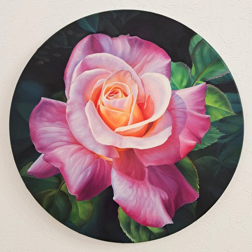 "Beauty in the garden", pink rose painting on round canvas by Anna Steshenko