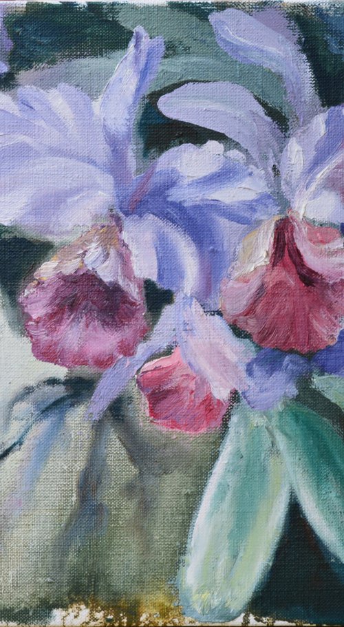 Orchids original oil painting, orchid flowers decor orchids painting exotic flowers Love Art by Anna Brazhnikova