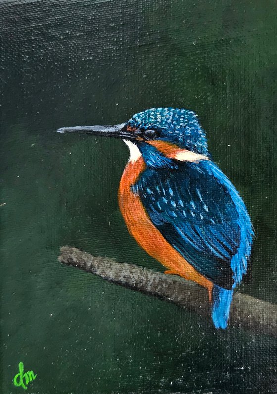 Kingfisher