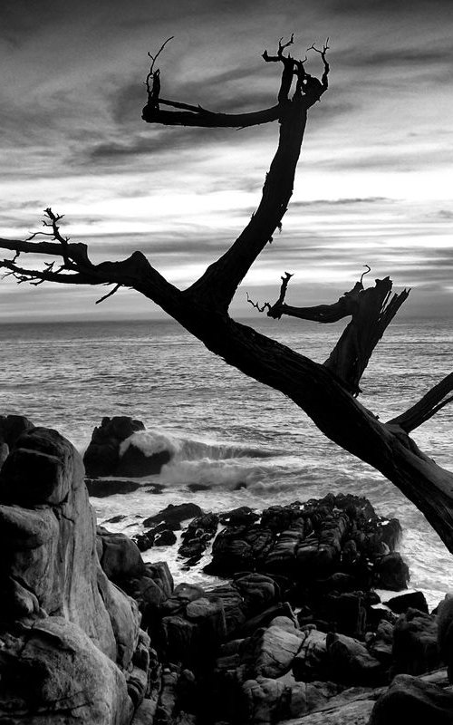 Spanish Bay - Pebble Beach California by Stephen Hodgetts Photography