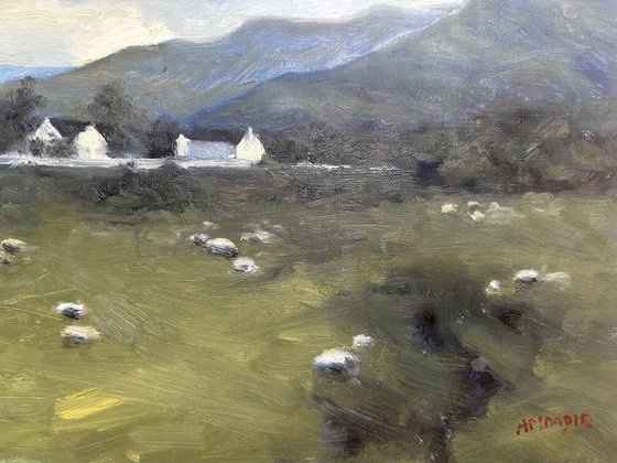 The Distillery, Dalwhinney