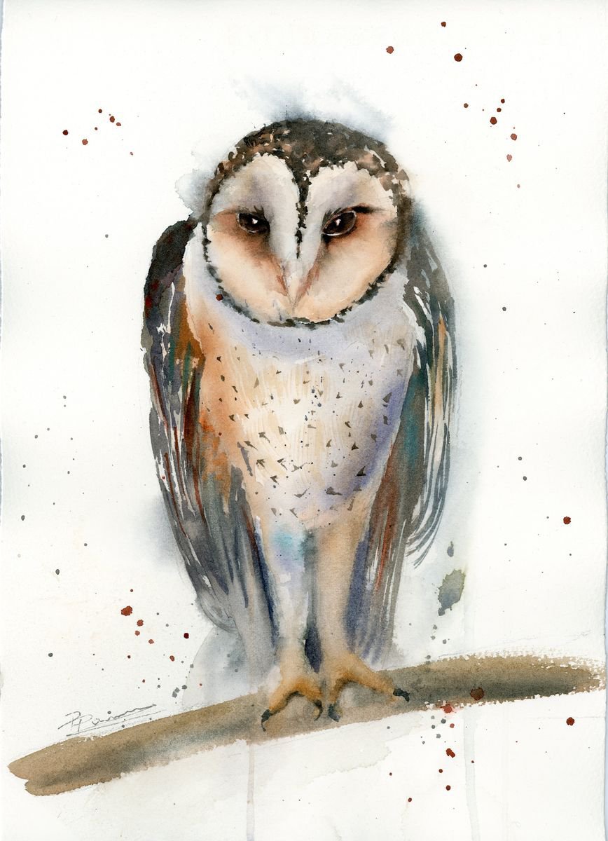 Barn OWL by Olga Shefranov (Tchefranova)