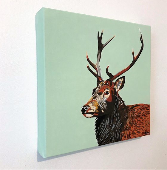 Dear Deer