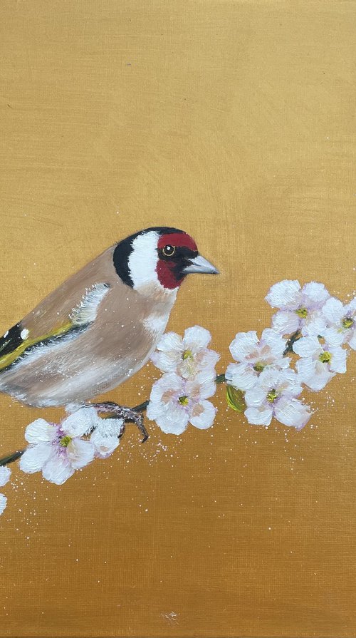 Goldfinch and Cherry Blossom by Laure Bury