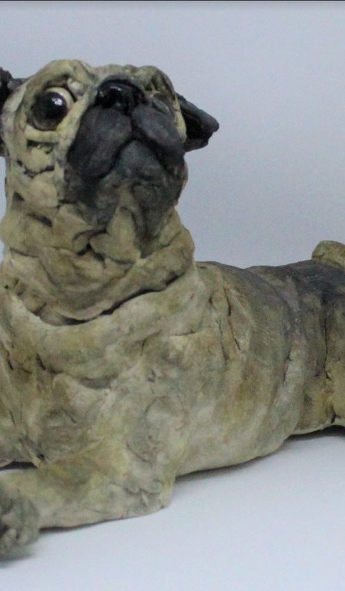 Pugsly by Louise Brown