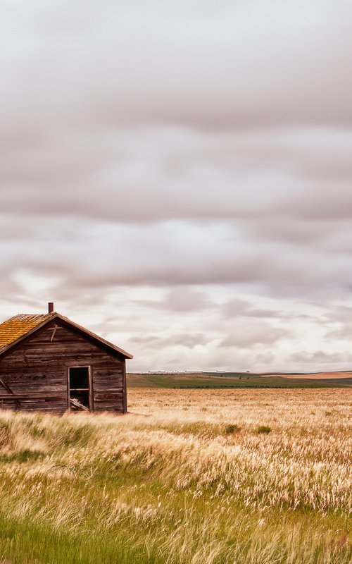 Old shack in the grassland by Karim Carella