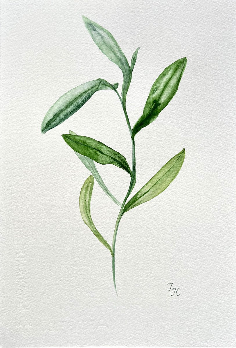 Organic Botanical Watercolour By Tetiana Kovalova, 7 X 11", Abstract Green Branch, Original Artwork