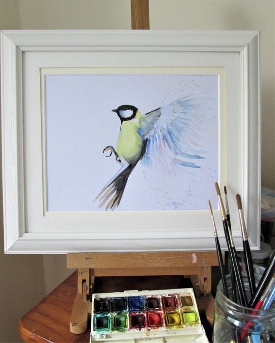 Bluetit Bird