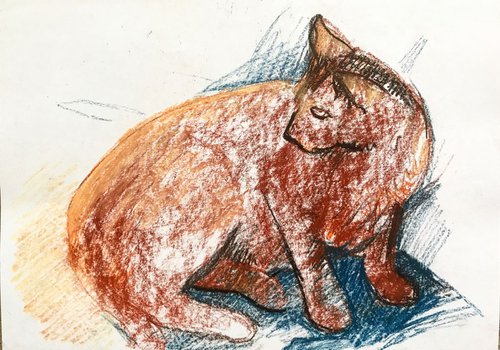The cat by Olga Pascari