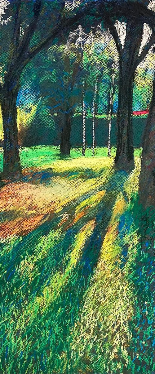 Sunlit grove by John Cottee