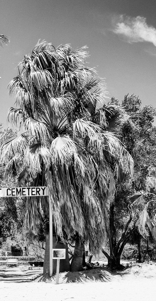 PET CEMETERY 1 Palm Springs CA by William Dey