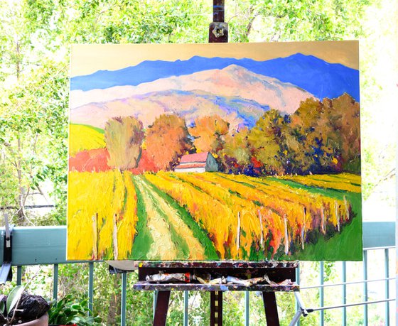 Vineyards in Napa Valley, Fall