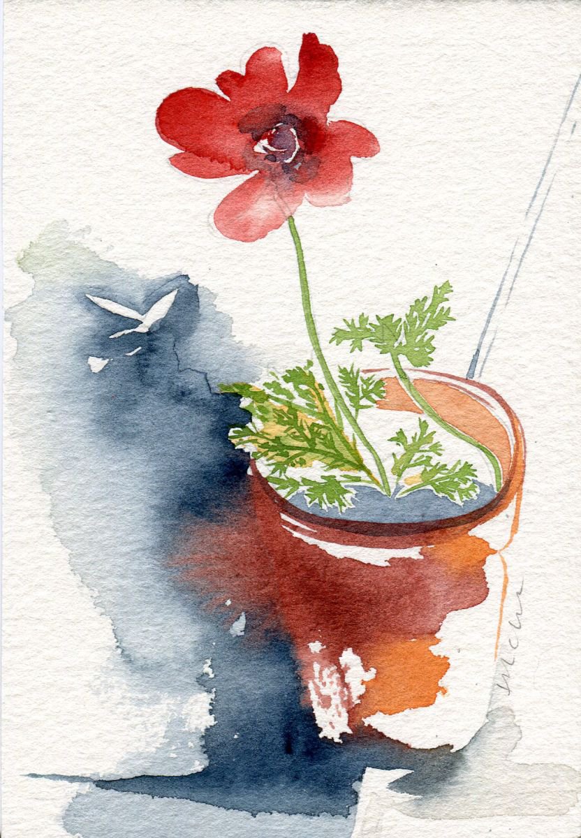 Original Watercolour Painting of Anemone and Moth by Hannah Clark