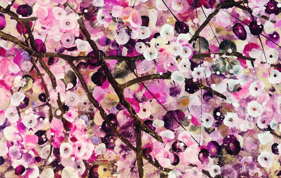Cherry Blossom Serenade