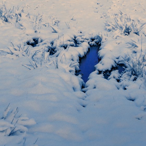 Winter on the summer pasture.