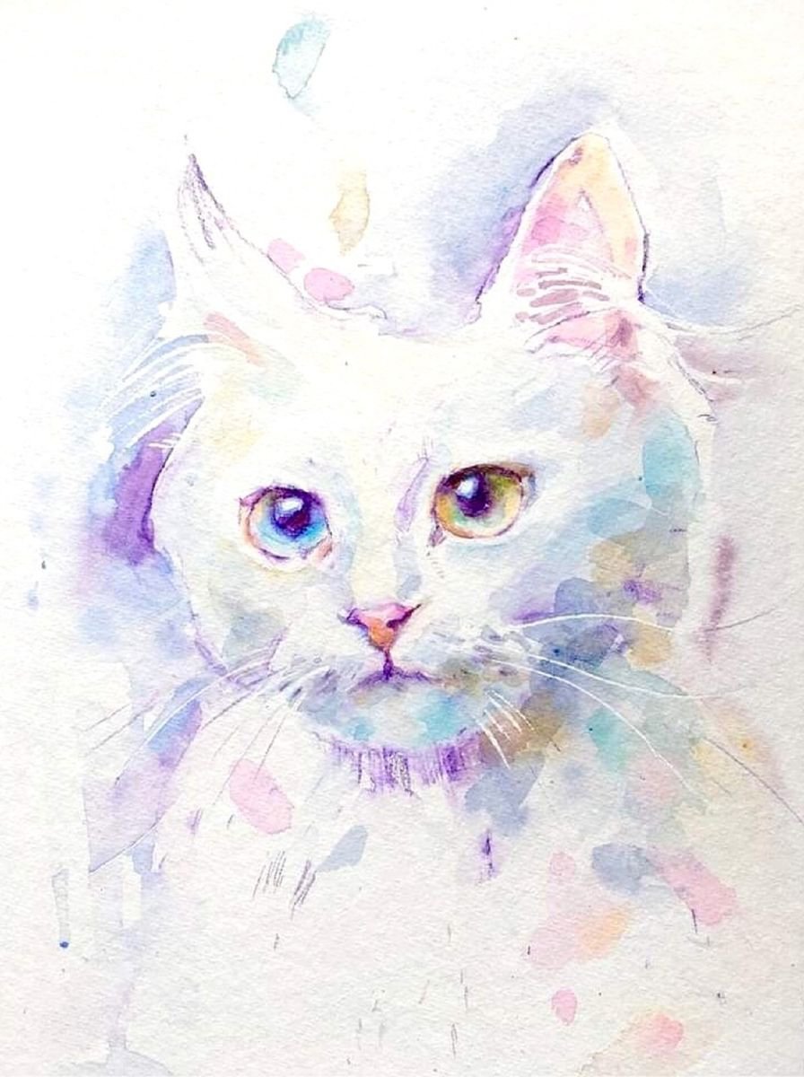 White cat by Alice Fly
