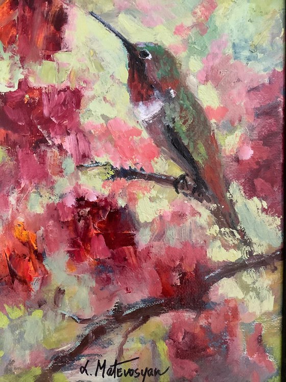 Hummingbird