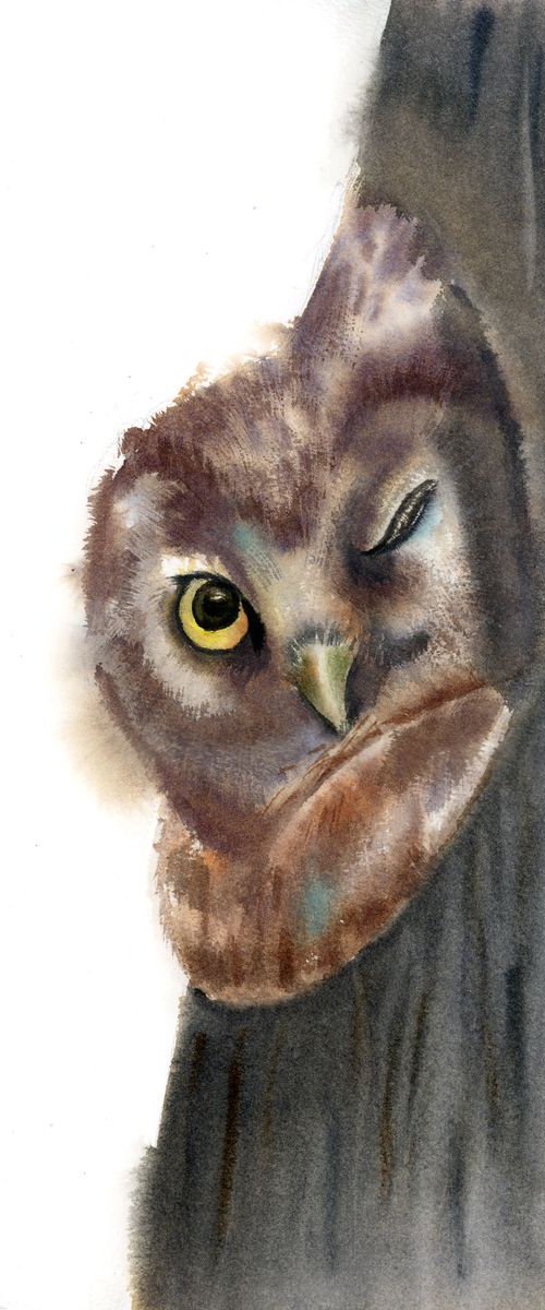 OWL in hollow by Olga Tchefranov (Shefranov)