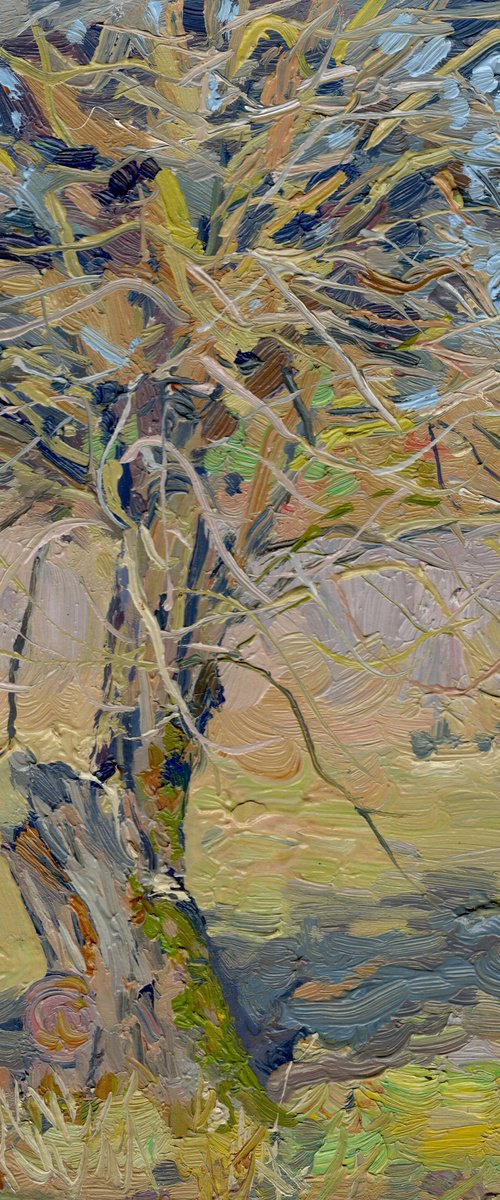 Apple tree. April by Simon Kozhin