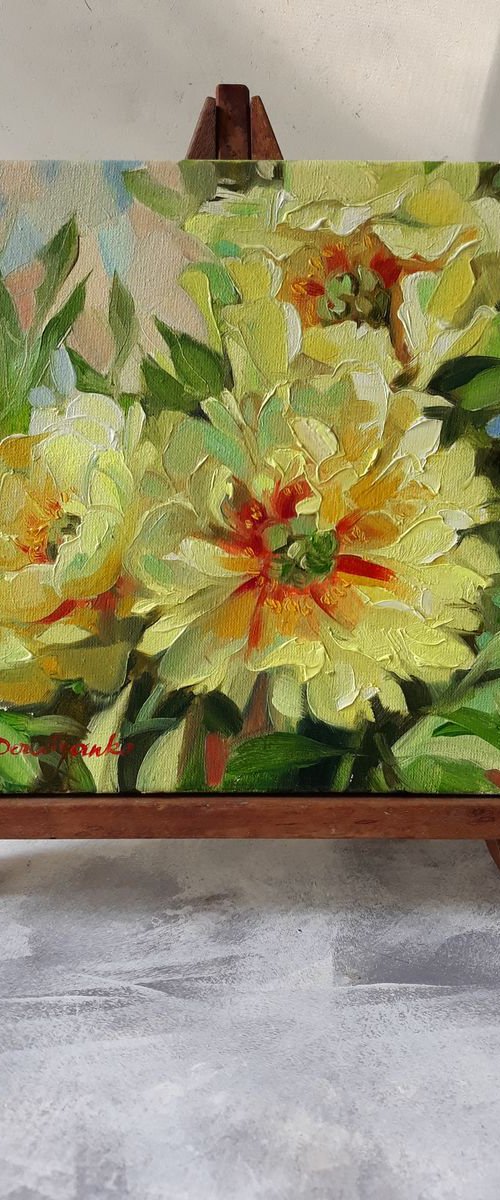 Yellow peonies flowers by Nataly Derevyanko