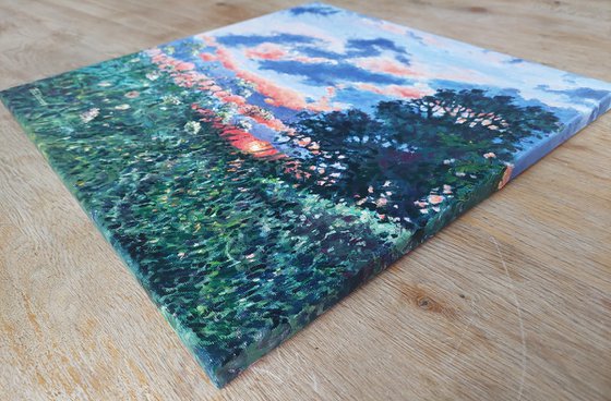 Evening Light - Sunset