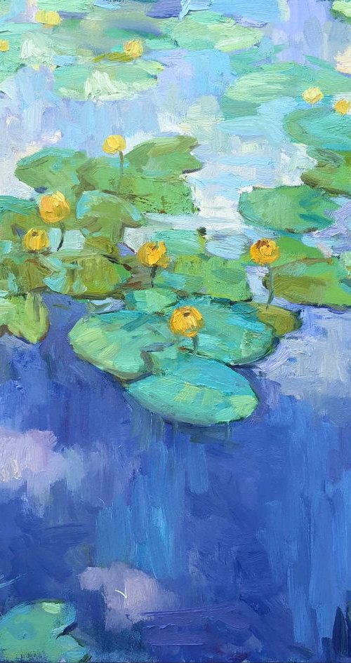 Water lilies pond. Shadows by Nataliia Nosyk