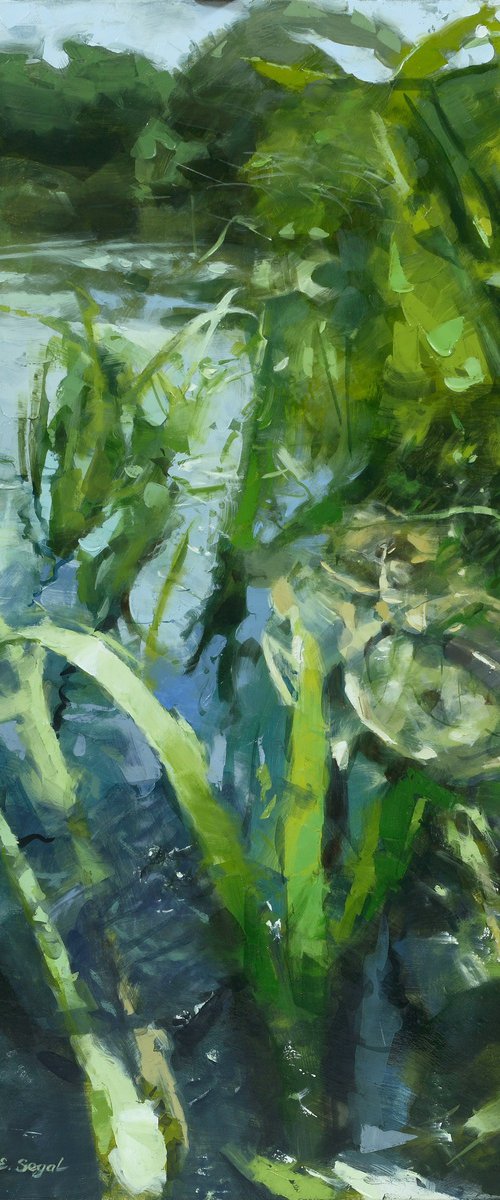 River grass2 by Eugene Segal