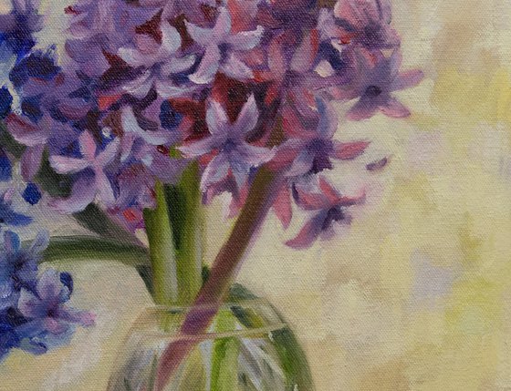 Blue and Pink Hyacinths