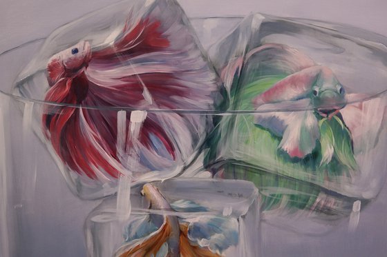 "Aquarium on Ice"