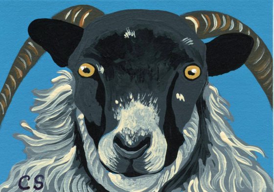 ACEO ATC Original Miniature Painting Black Sheep Farmyard Art-Carla Smale