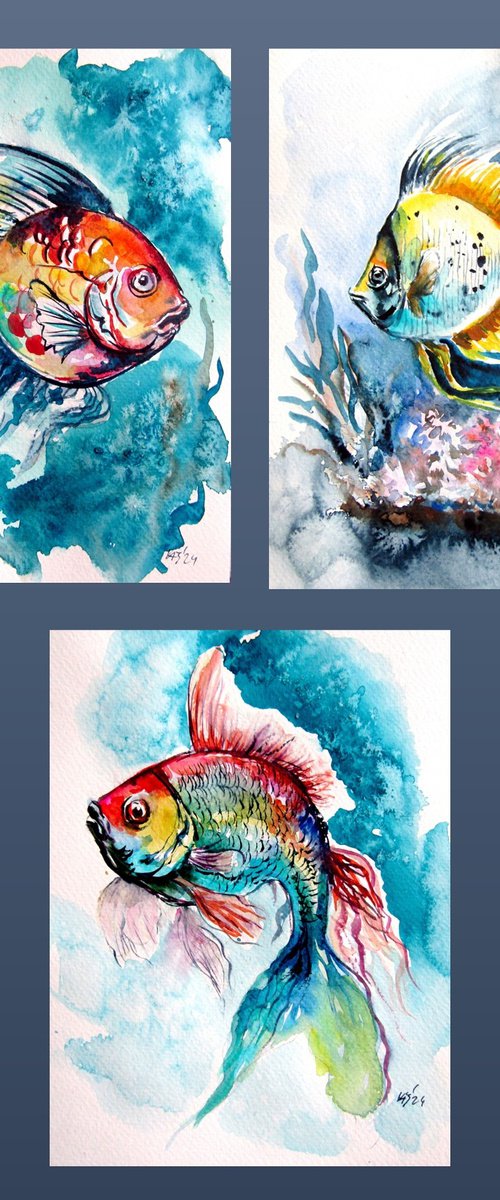Fish collection by Kovács Anna Brigitta