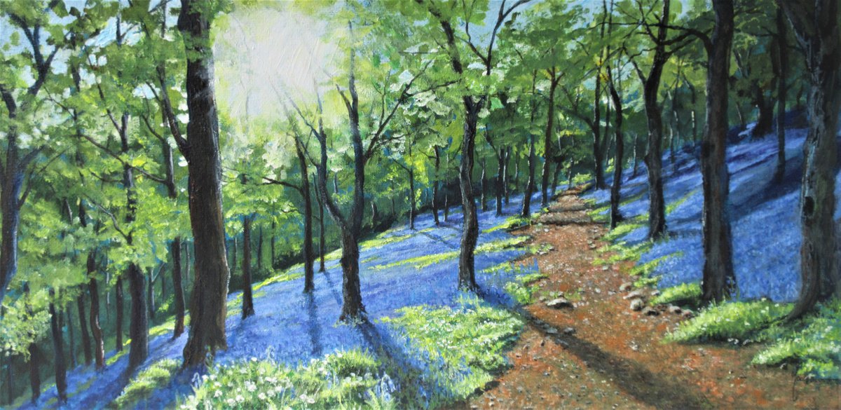 Bluebell Woods 5 by Max Aitken