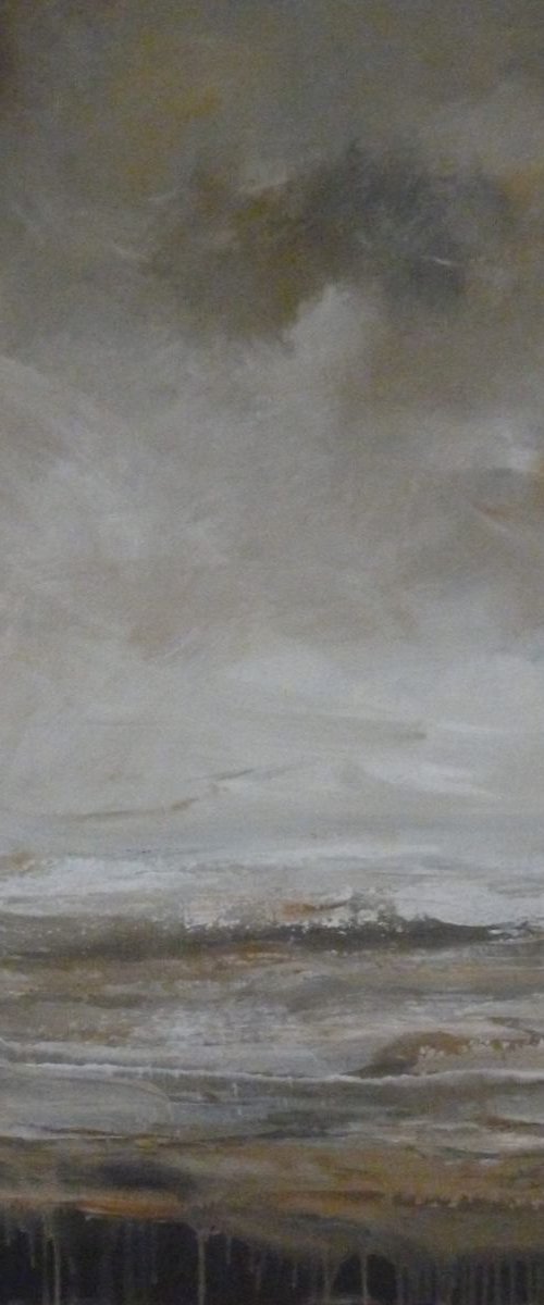 Quicksands and Gulleys by Fiona Philipps
