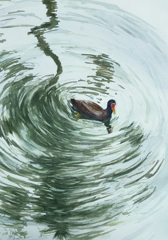 Duck swimming in palm tree reflection