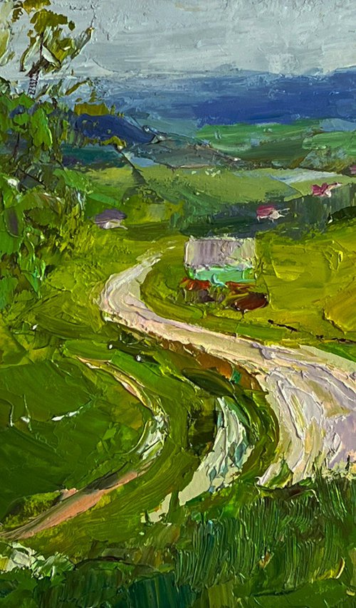 A Wavy Road in the Mountains by Boris Serdyuk
