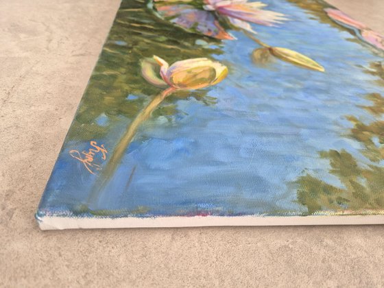 Water lily pond
