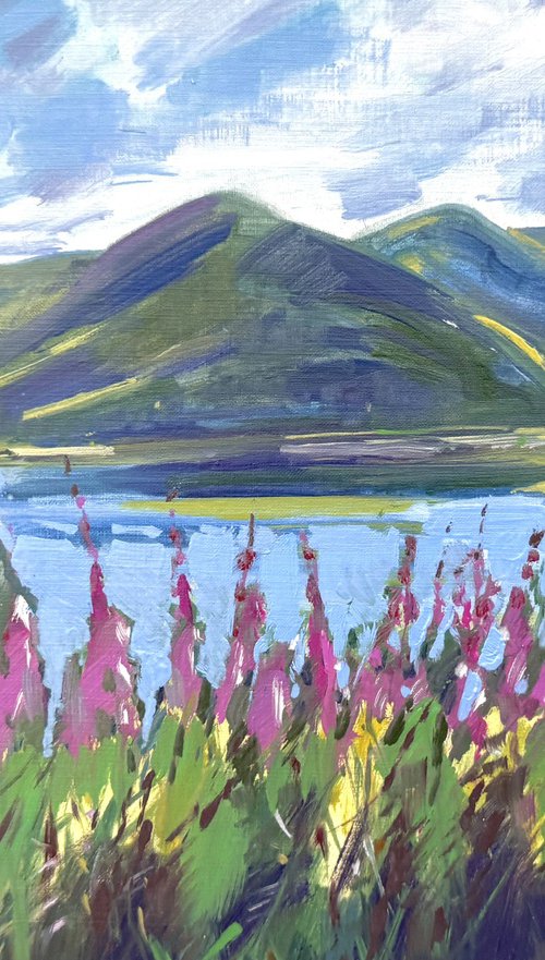 Loch Lomond, willowherb by Natalie Bird