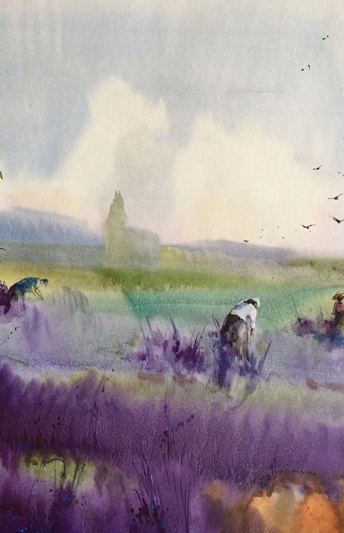 "Picking lavender" SOLD by Iulia Carchelan