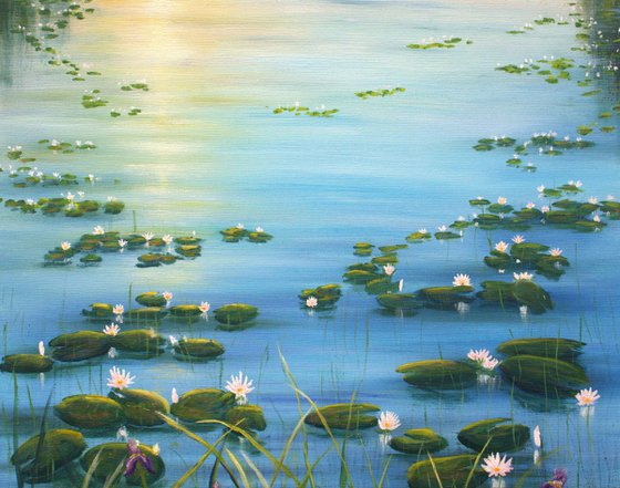 Serene lily pond