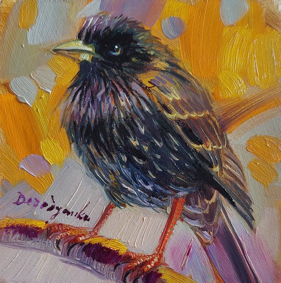 Starling bird oil painting origianal 4x4 inch